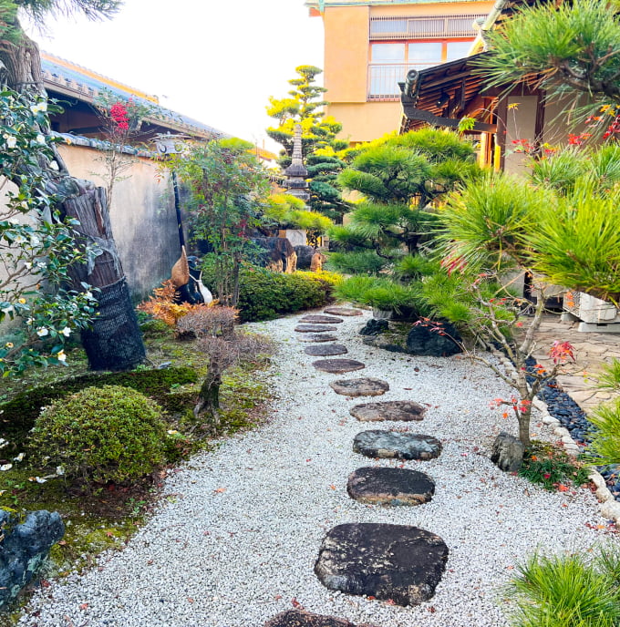 松が植えられ、飛び石が置かれた若冲庵クリニックの中庭