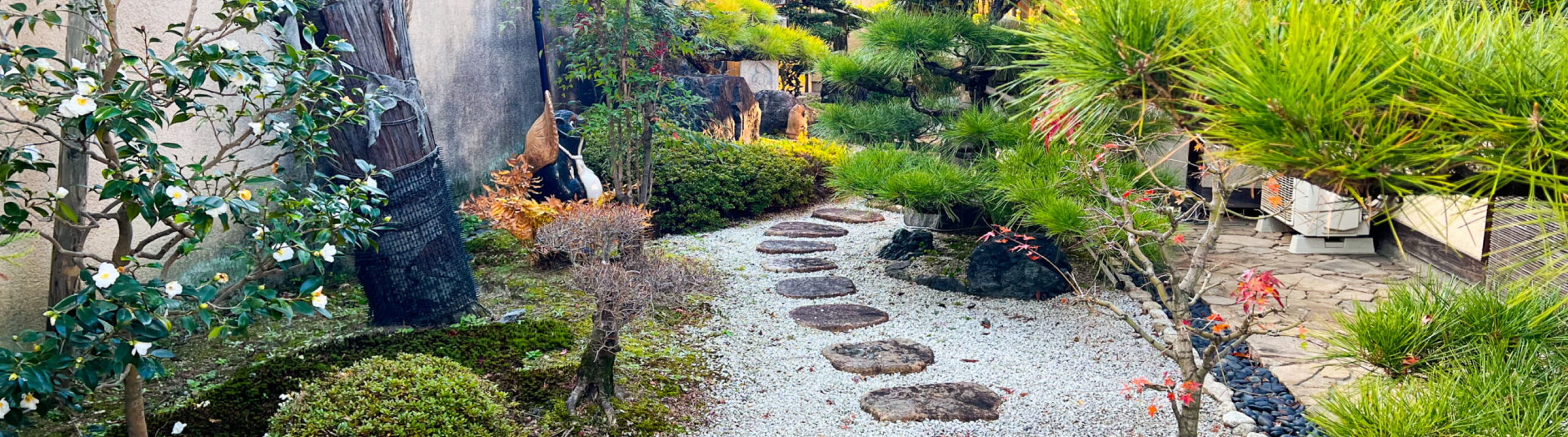 松が植えられ、飛び石の置かれた若冲庵クリニックの中庭。