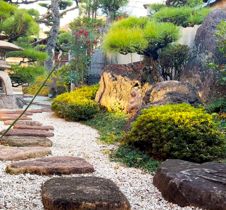 松が植えられ、飛び石の置かれた若冲庵クリニックの中庭。